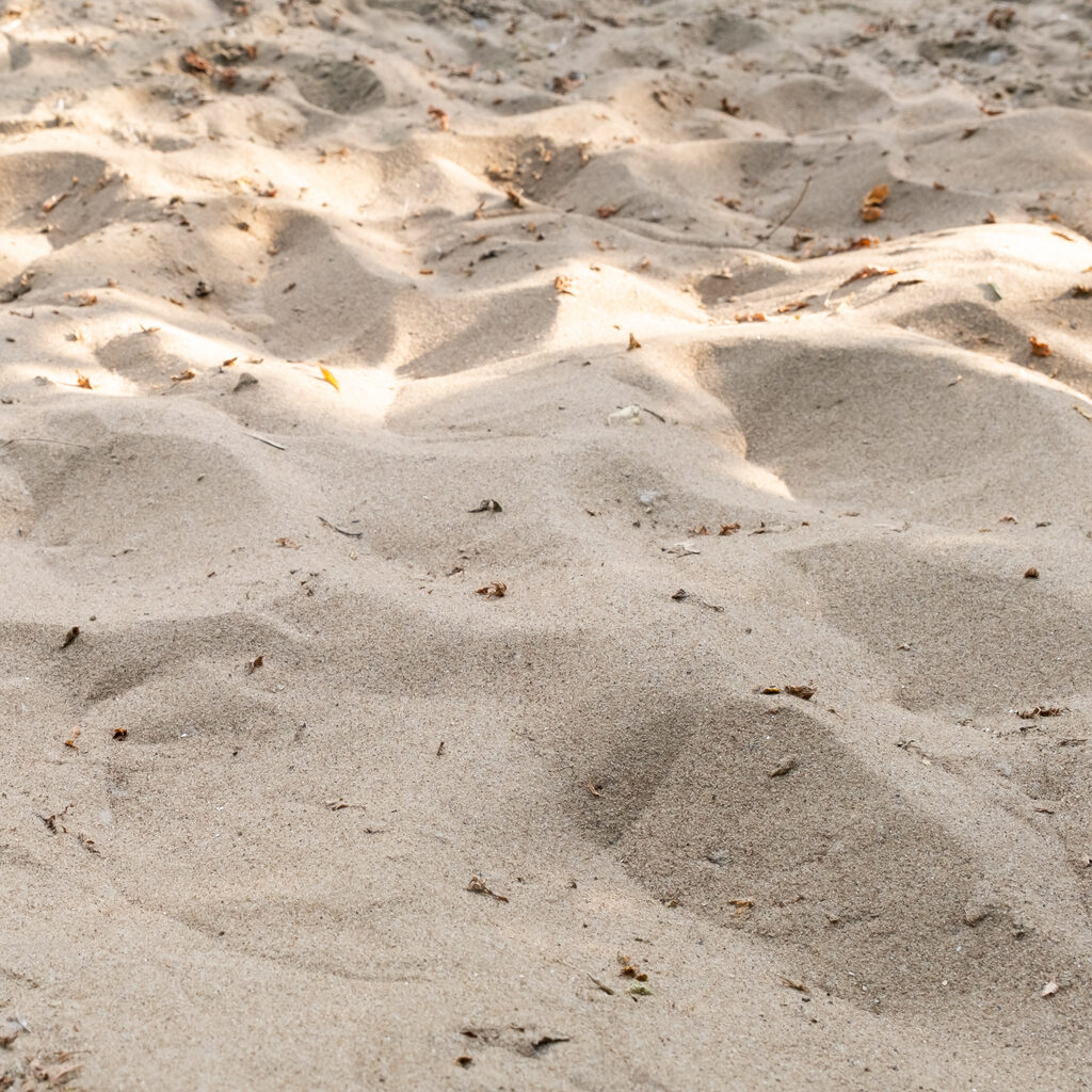 Sandy yellow background. Sand nature texture in summer sunny day